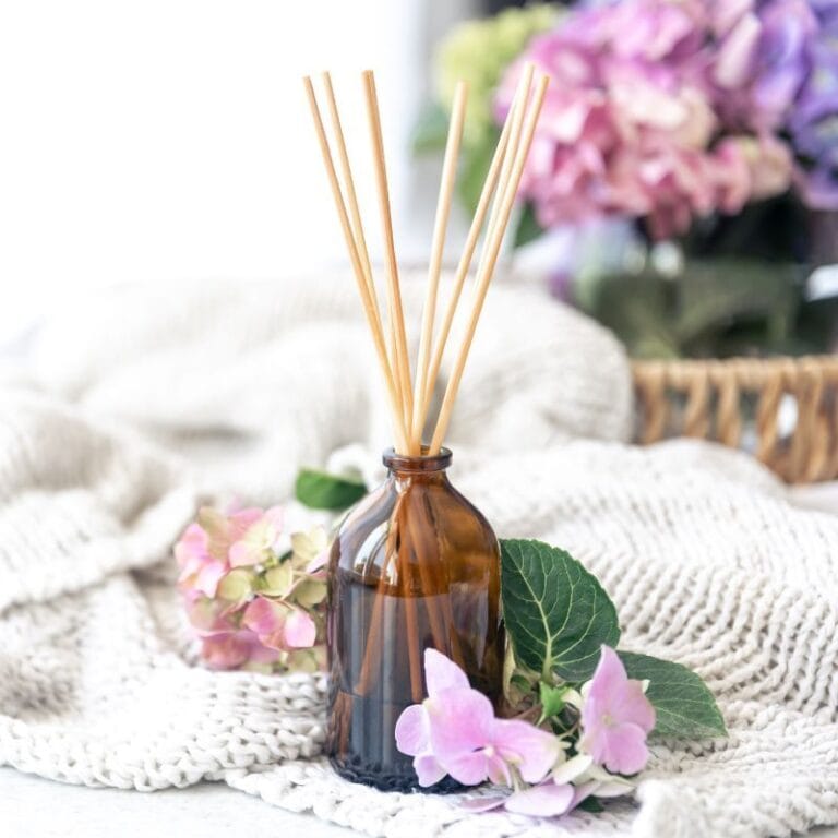 maklon fragrance formula jelita